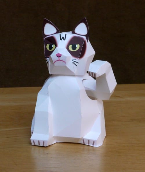 Grumpy (un?)lucky cat